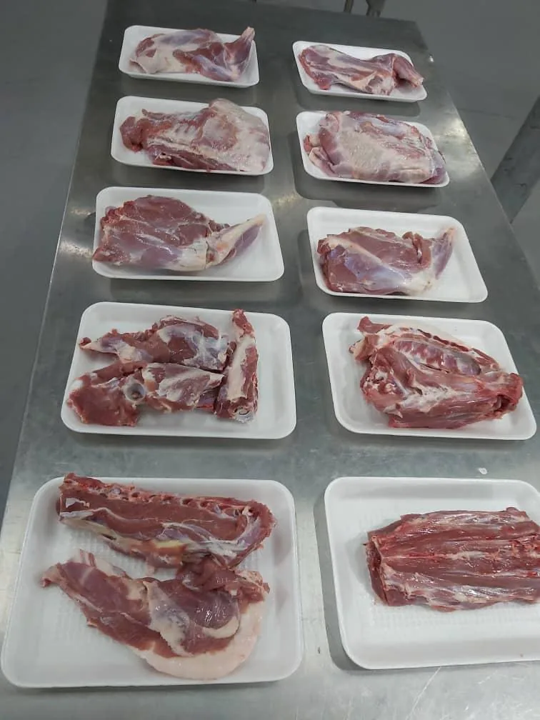 Meat cuts in white trays on a steel table