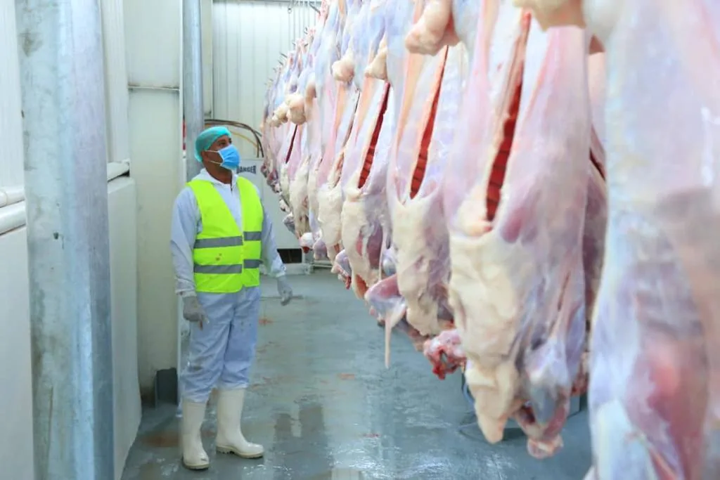 Worker in a high-visibility vest overseeing the carcass line