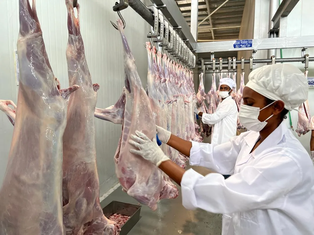 Worker in hairnet and mask preparing a carcass