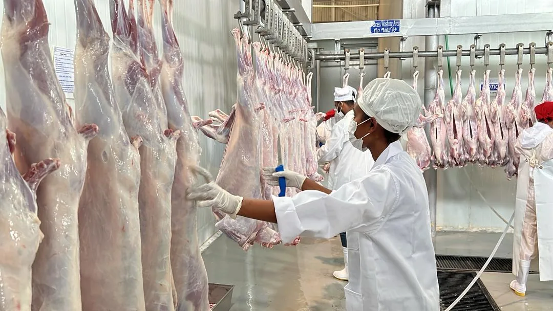 Worker in hairnet and gloves handling carcasses on the line